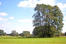 Obraz 2093